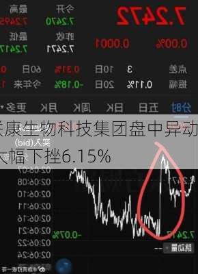 联康生物科技集团盘中异动 大幅下挫6.15%