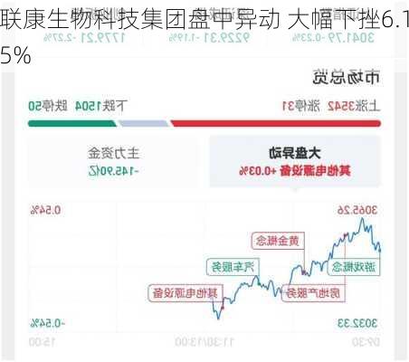 联康生物科技集团盘中异动 大幅下挫6.15%