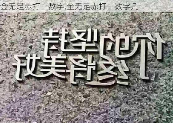 金无足赤打一数字,金无足赤打一数字几