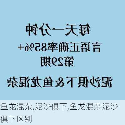 鱼龙混杂,泥沙俱下,鱼龙混杂泥沙俱下区别