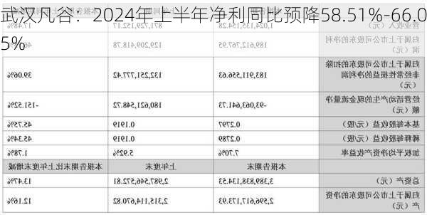 武汉凡谷：2024年上半年净利同比预降58.51%-66.05%