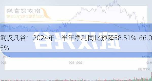 武汉凡谷：2024年上半年净利同比预降58.51%-66.05%