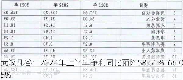 武汉凡谷：2024年上半年净利同比预降58.51%-66.05%