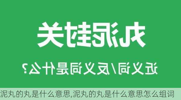 泥丸的丸是什么意思,泥丸的丸是什么意思怎么组词