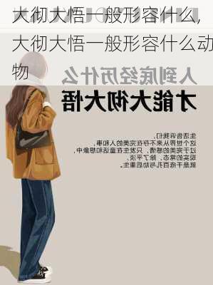 大彻大悟一般形容什么,大彻大悟一般形容什么动物