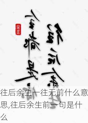 往后余生一往无前什么意思,往后余生前一句是什么