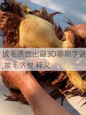 拔毛济世出自3D哪期字谜,拔毛济世 释义