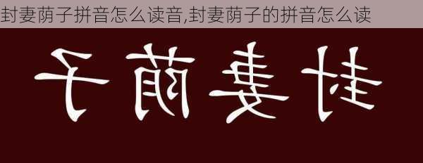 封妻荫子拼音怎么读音,封妻荫子的拼音怎么读