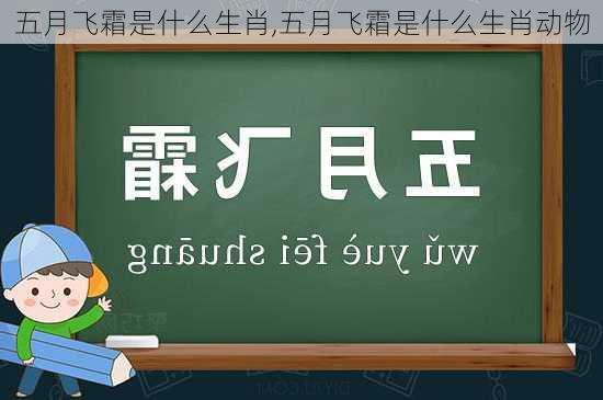 五月飞霜是什么生肖,五月飞霜是什么生肖动物