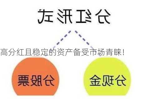 高分红且稳定的资产备受市场青睐！