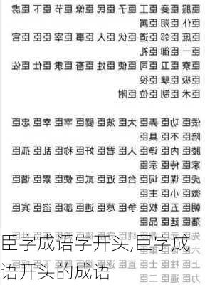 臣字成语字开头,臣字成语开头的成语