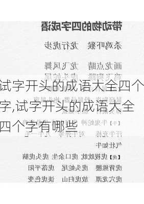 试字开头的成语大全四个字,试字开头的成语大全四个字有哪些