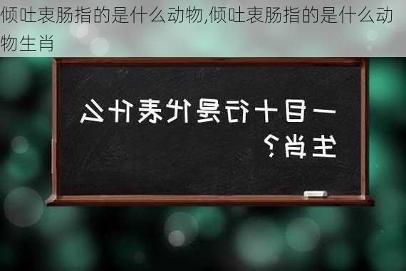 倾吐衷肠指的是什么动物,倾吐衷肠指的是什么动物生肖