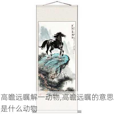 高瞻远瞩解一动物,高瞻远瞩的意思是什么动物