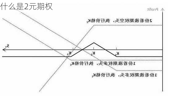 什么是2元期权