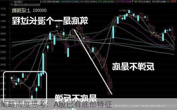 策略周度思考：A股已有底部特征