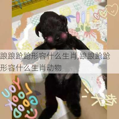 踉踉跄跄形容什么生肖,踉踉跄跄形容什么生肖动物