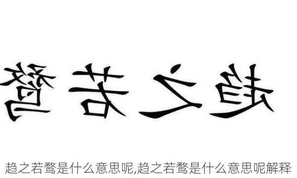 趋之若鹜是什么意思呢,趋之若鹜是什么意思呢解释