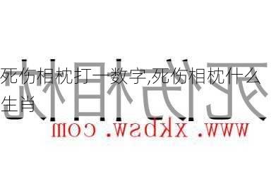 死伤相枕打一数字,死伤相枕什么生肖