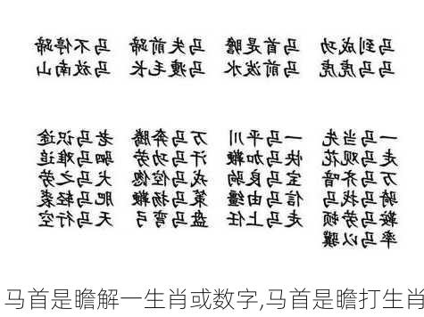 马首是瞻解一生肖或数字,马首是瞻打生肖