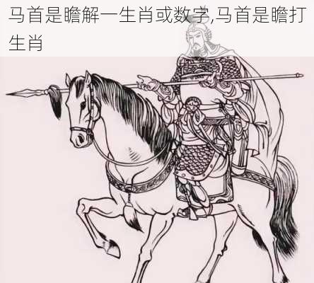 马首是瞻解一生肖或数字,马首是瞻打生肖