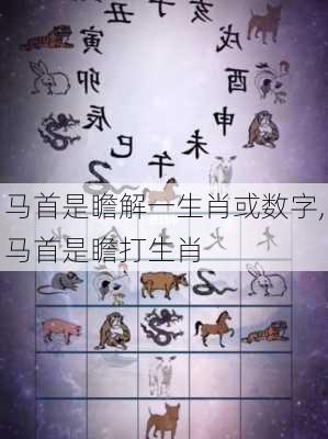 马首是瞻解一生肖或数字,马首是瞻打生肖