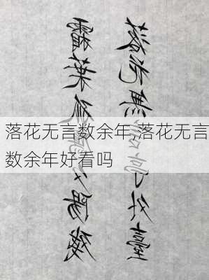 落花无言数余年,落花无言数余年好看吗