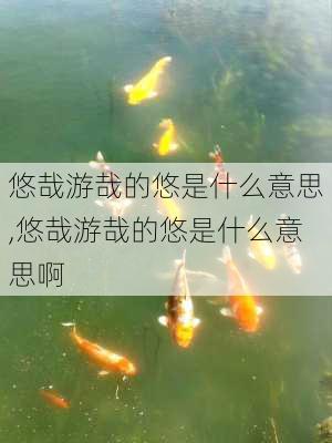 悠哉游哉的悠是什么意思,悠哉游哉的悠是什么意思啊