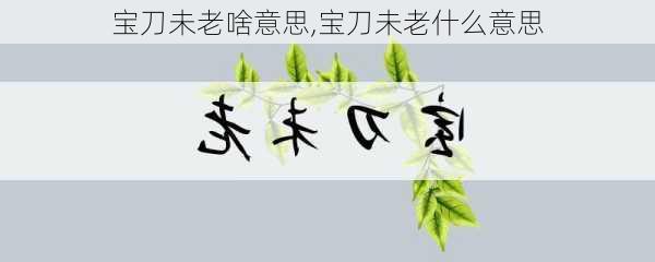 宝刀未老啥意思,宝刀未老什么意思