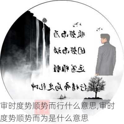 审时度势顺势而行什么意思,审时度势顺势而为是什么意思