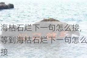 海枯石烂下一句怎么接,等到海枯石烂下一句怎么接