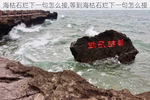 海枯石烂下一句怎么接,等到海枯石烂下一句怎么接