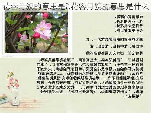 花容月貌的意思是?,花容月貌的意思是什么