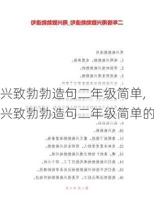 兴致勃勃造句二年级简单,兴致勃勃造句二年级简单的