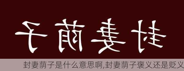 封妻荫子是什么意思啊,封妻荫子褒义还是贬义