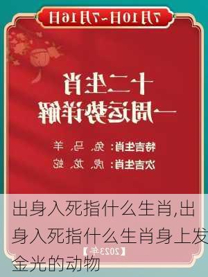 出身入死指什么生肖,出身入死指什么生肖身上发金光的动物