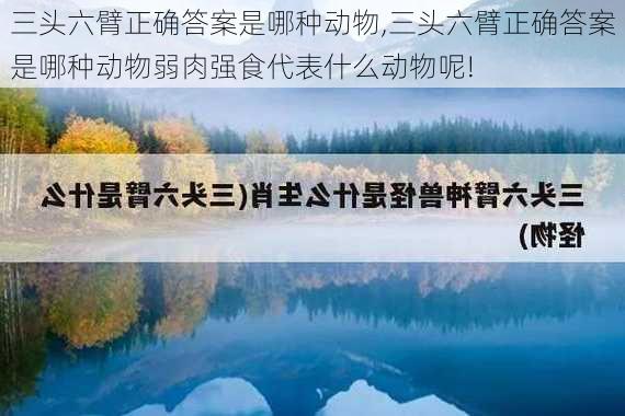 三头六臂正确答案是哪种动物,三头六臂正确答案是哪种动物弱肉强食代表什么动物呢!