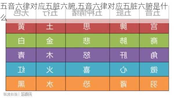 五音六律对应五脏六腑,五音六律对应五脏六腑是什么