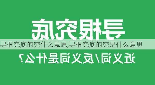 寻根究底的究什么意思,寻根究底的究是什么意思