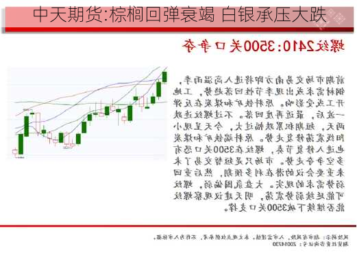 中天期货:棕榈回弹衰竭 白银承压大跌