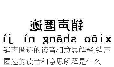 销声匿迹的读音和意思解释,销声匿迹的读音和意思解释是什么