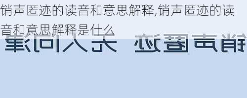 销声匿迹的读音和意思解释,销声匿迹的读音和意思解释是什么