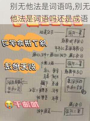 别无他法是词语吗,别无他法是词语吗还是成语