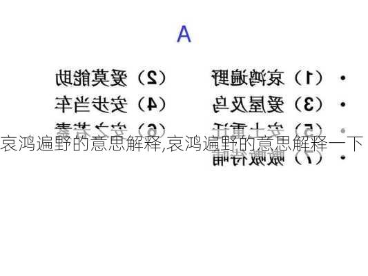 哀鸿遍野的意思解释,哀鸿遍野的意思解释一下