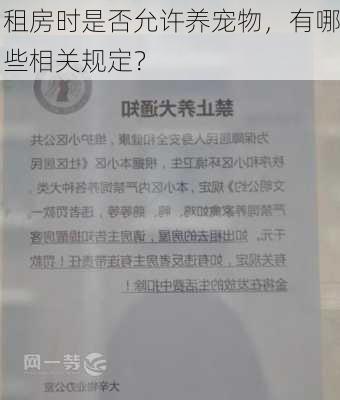 租房时是否允许养宠物，有哪些相关规定？