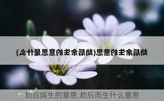 劫后娱生的意思,劫后而生什么意思