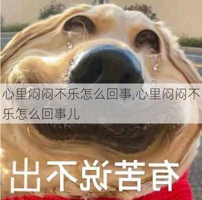 心里闷闷不乐怎么回事,心里闷闷不乐怎么回事儿