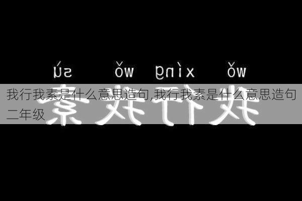 我行我素是什么意思造句,我行我素是什么意思造句二年级