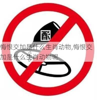 悔恨交加是什么生肖动物,悔恨交加是什么生肖动物呢