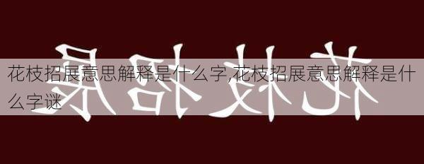 花枝招展意思解释是什么字,花枝招展意思解释是什么字谜